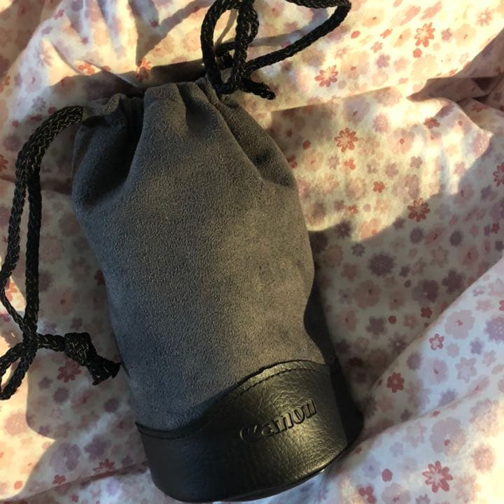 canon カメラレンズ　EF-S