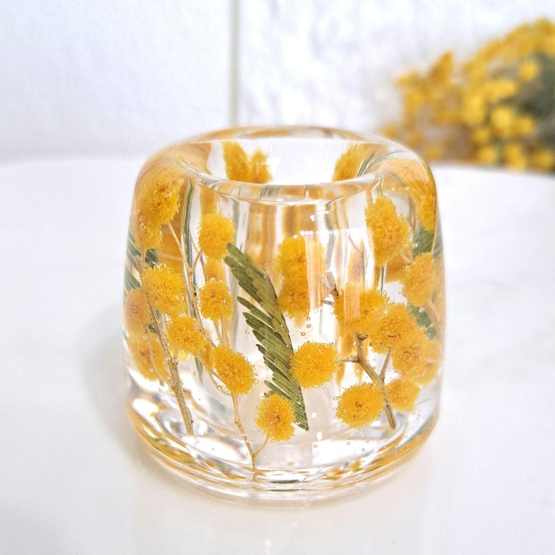 No.723 イタリアミモザ＆リーフ♡固まるハーバリウムペン立て