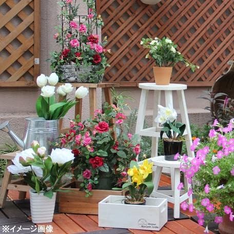 【2点セット】木製フラワースタンド ラウンド型ハイタイプ ブラウン