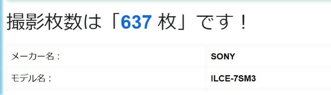 SONY α7Sⅲ ILCE-7SM3 撮影回数637枚 アクセサリー付き