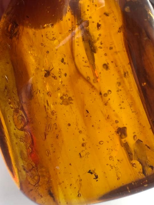アンバー 琥珀 ユニーク 天然石 虫入り ネックレス 化石 宝石