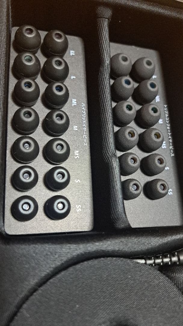 ソニー SONY イヤホン IER-M9