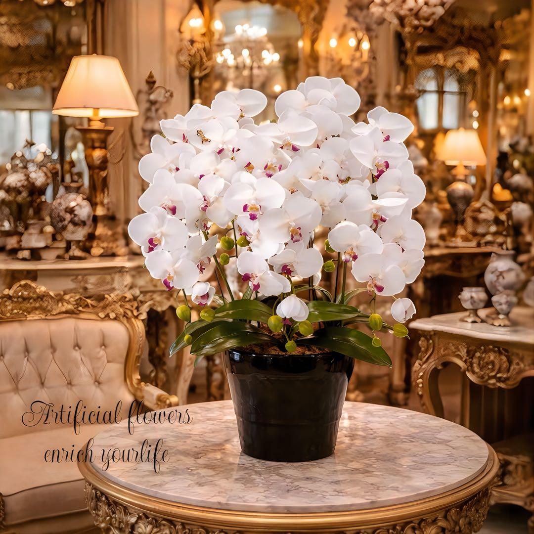 光触媒　人工観葉植物　ウォールグリーン　クィーン胡蝶蘭5本w/ab高さ74センチ