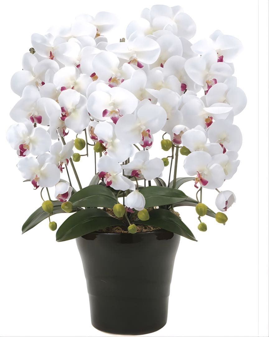 光触媒　人工観葉植物　ウォールグリーン　クィーン胡蝶蘭5本w/ab高さ74センチ