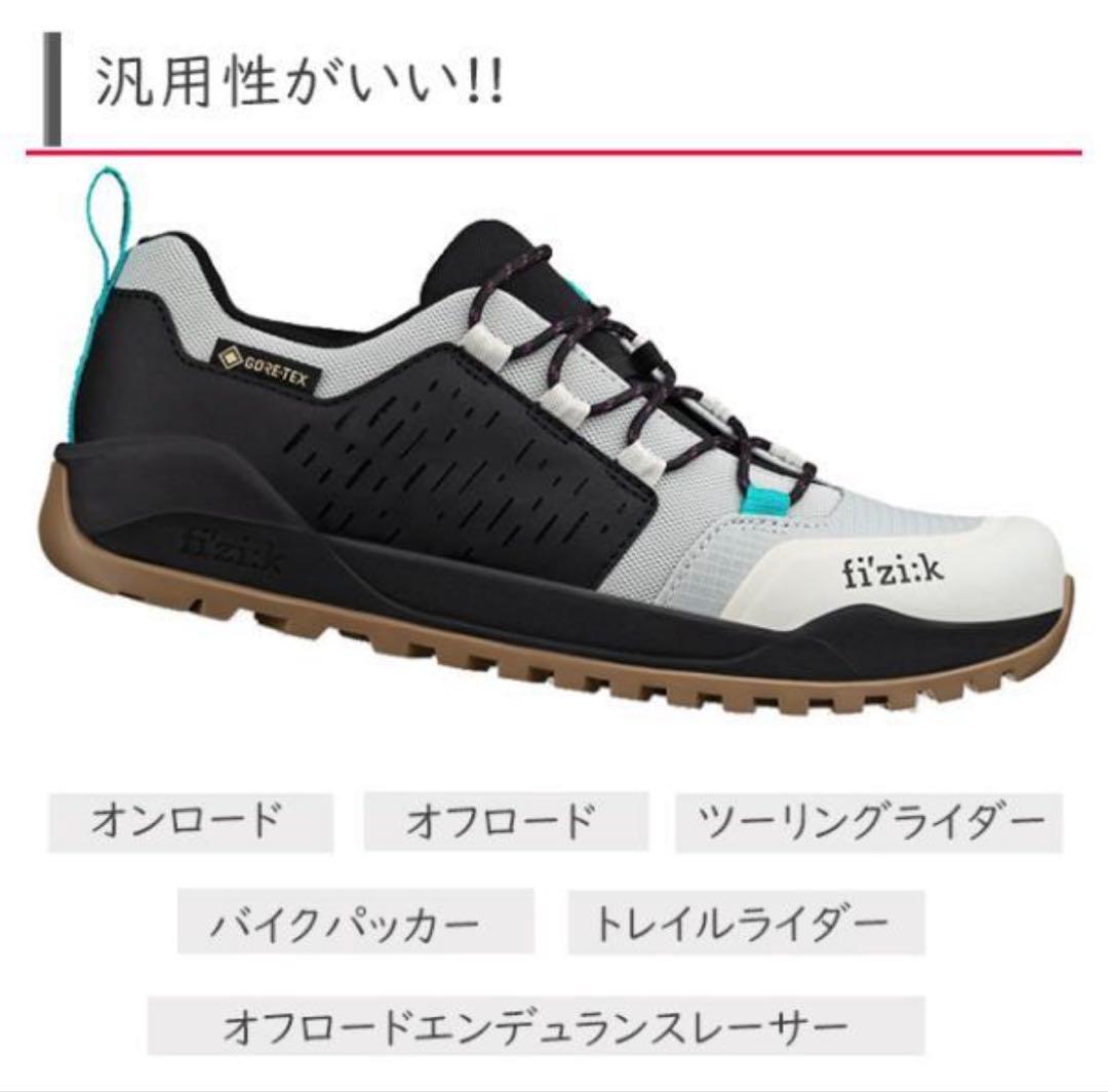 フィジーク　シューズ　サイズ43 ゴアテックス