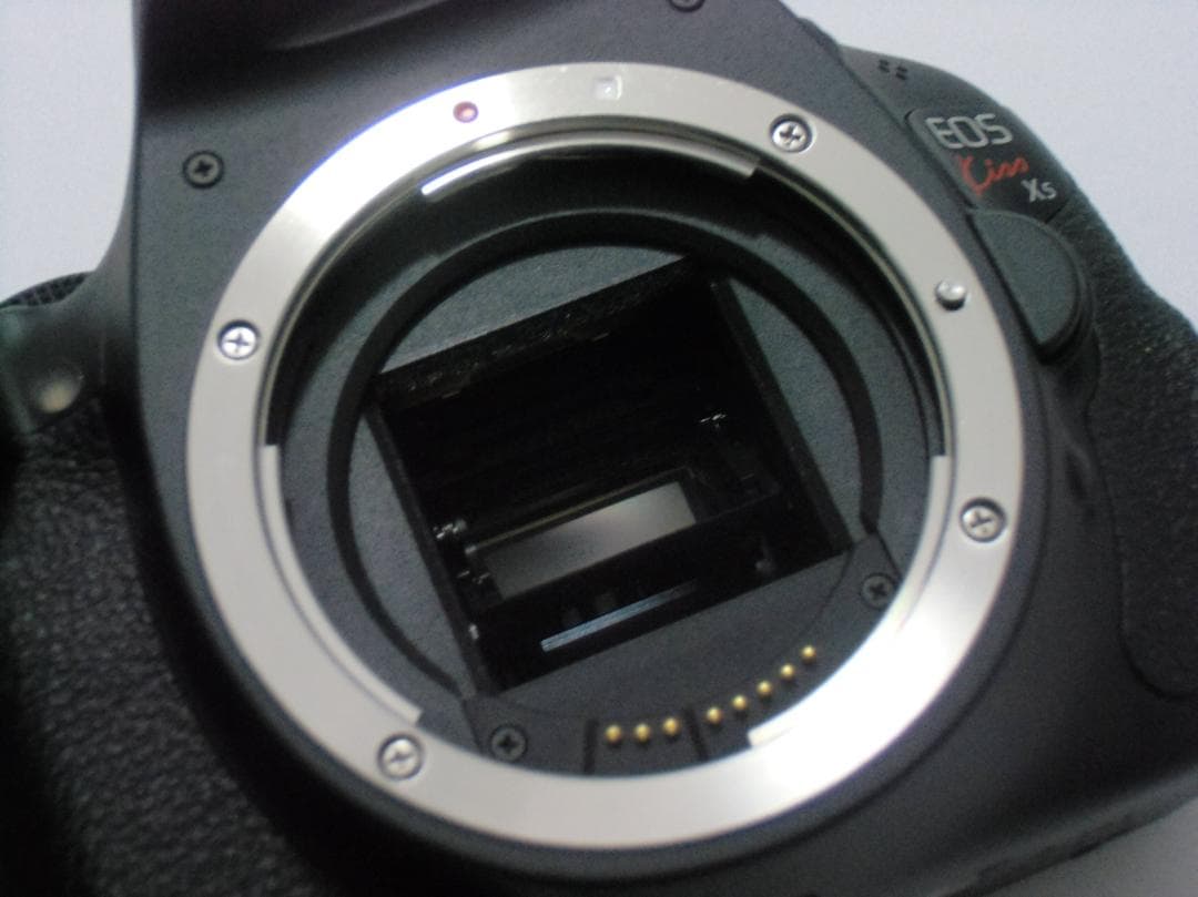 Canon EOS Kiss X5　B058