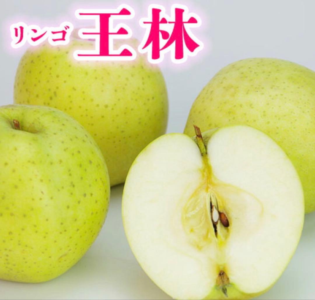 りんご　苗木　王林　１.7メートル