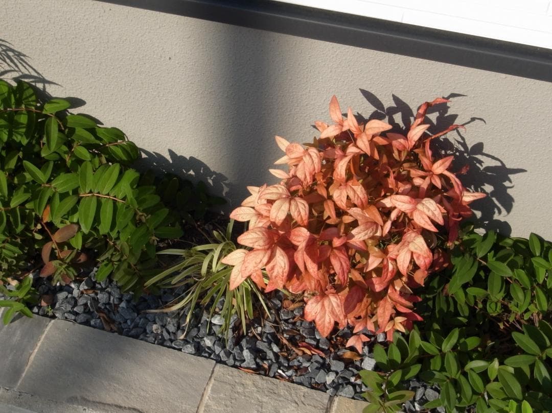 ✨ショット数1632回で美品✨GR DIGITAL III　546