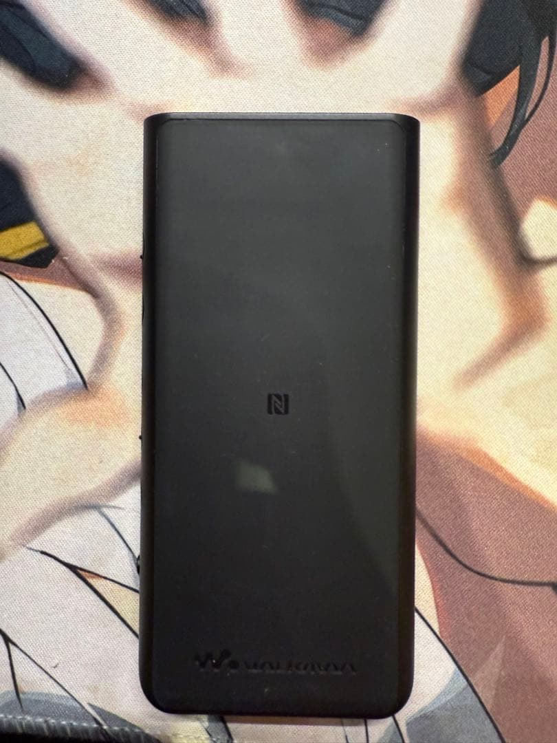 SONY NW-ZX507 64GB デジタルオーディオプレーヤー