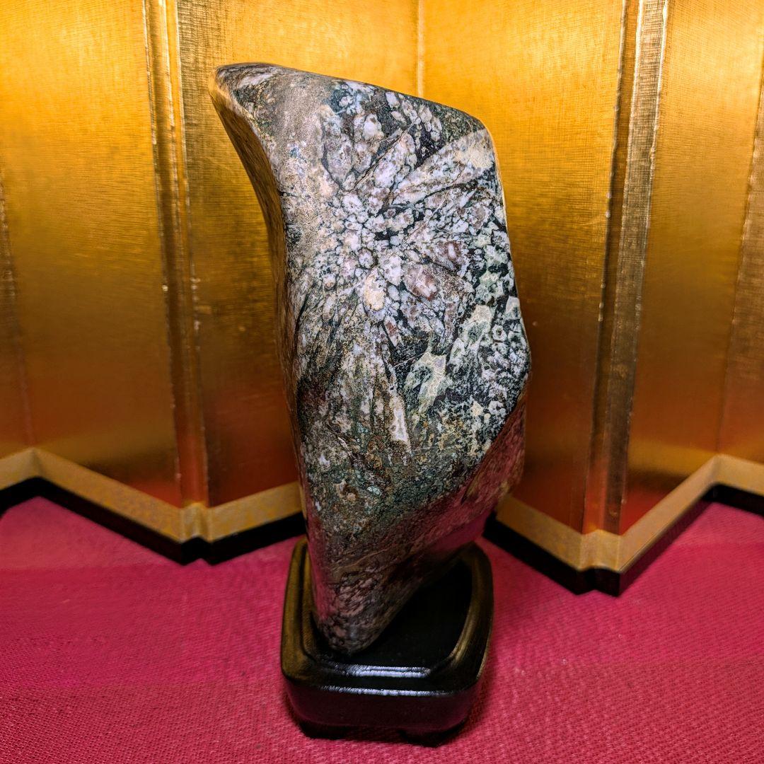 菊花石 縦横型 岐阜県根尾谷産4.8㌔ 鑑賞石 観賞石 水石 盆石 天然石 置物