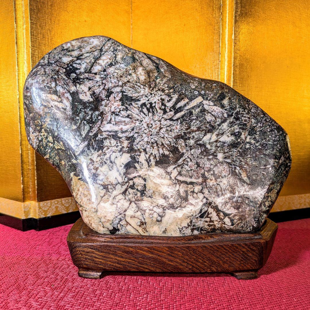 菊花石 縦横型 岐阜県根尾谷産4.8㌔ 鑑賞石 観賞石 水石 盆石 天然石 置物