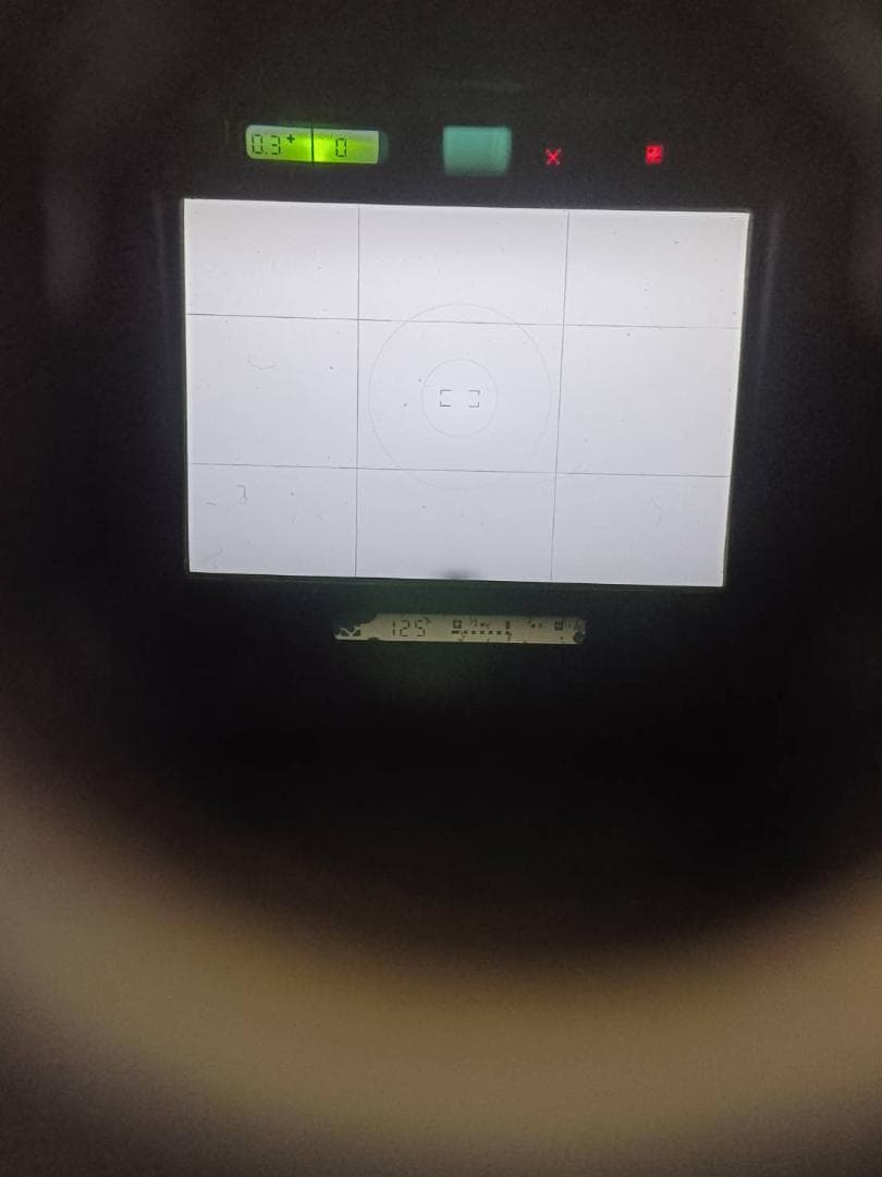 良品 NIKON F4S MB-21 MF-23 フィルムカメラ M114