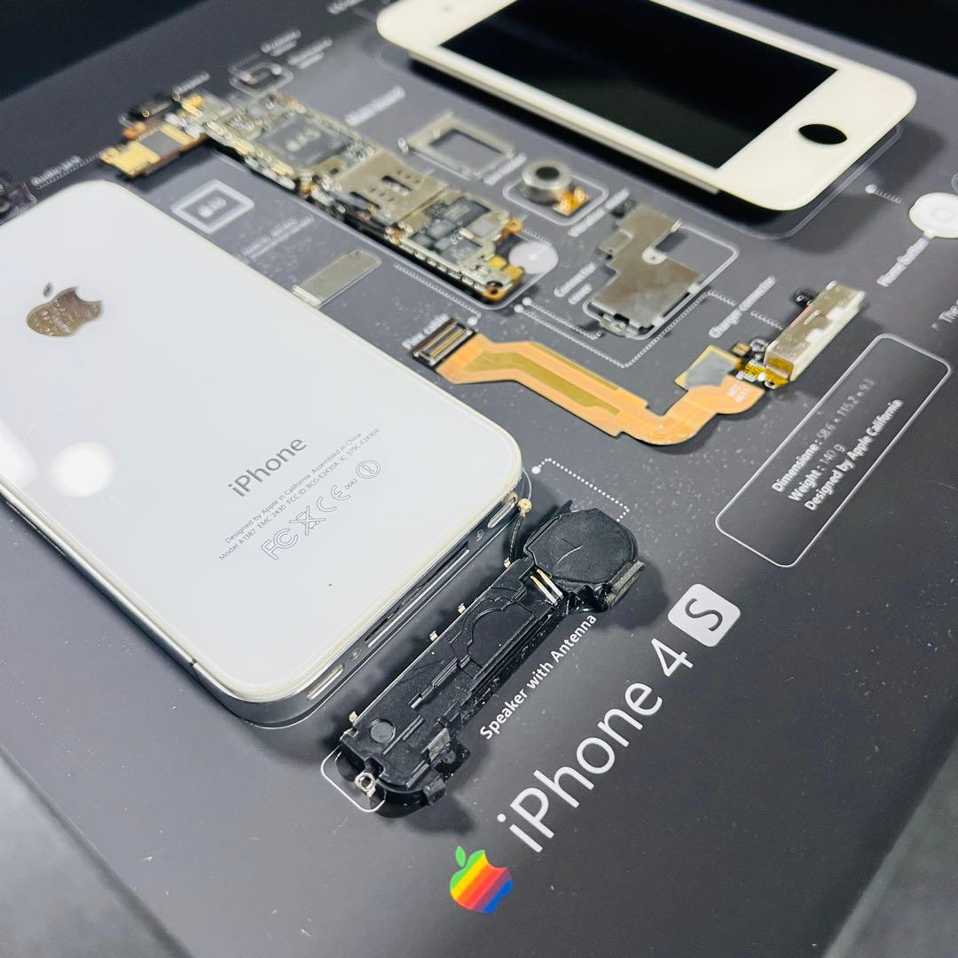 iPhone 4s White 標本アート ボックスフレーム仕様 (スクエアS)