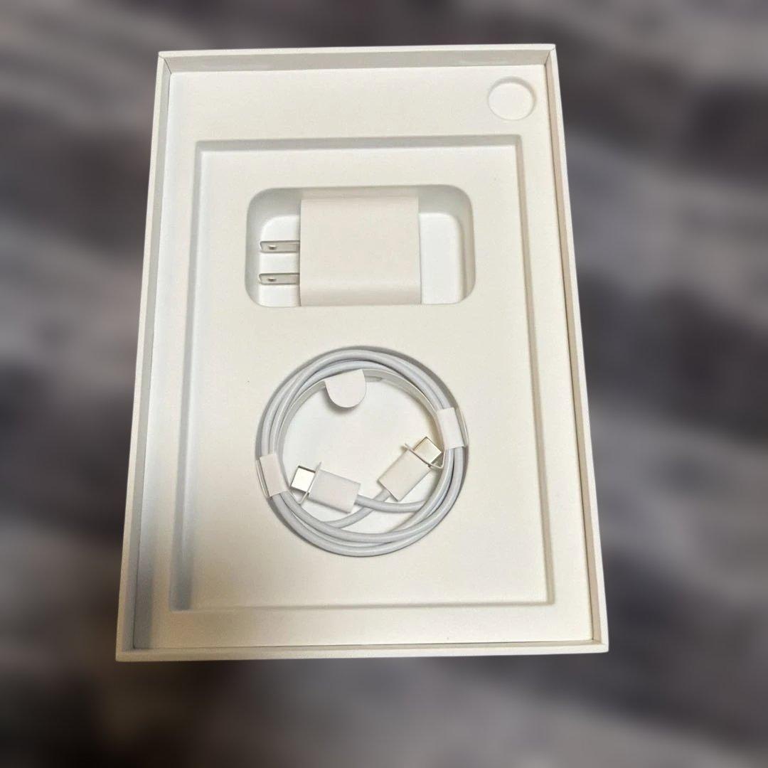 Apple iPad mini スペースグレー ケース付き