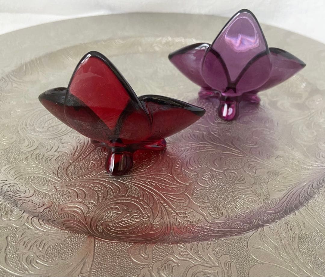 バカラ　オーキッド　パープル