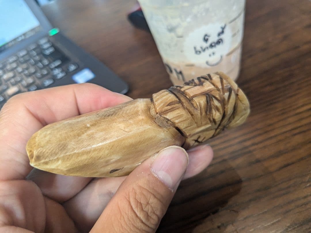 タイのお守りプラクルアン！なんかの角？骨？幸運値アップ！