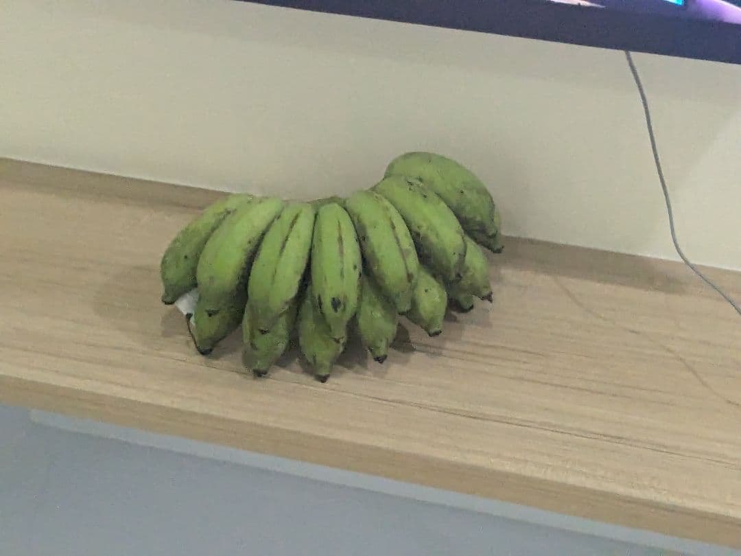 タイのお守りプラクルアン！なんかの角？骨？幸運値アップ！