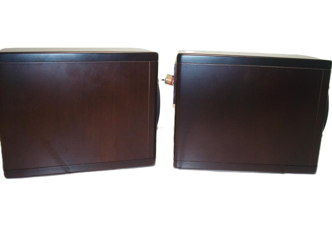 JVC　CA-EXN1/SP-EXN1 ウッドコーンスピーカー