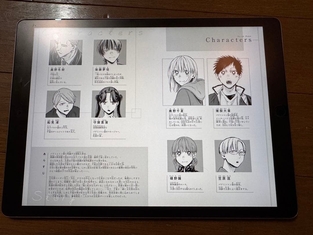 iPad Pro 12.9インチ 【画面難あり】【バッテリー劣化してます】