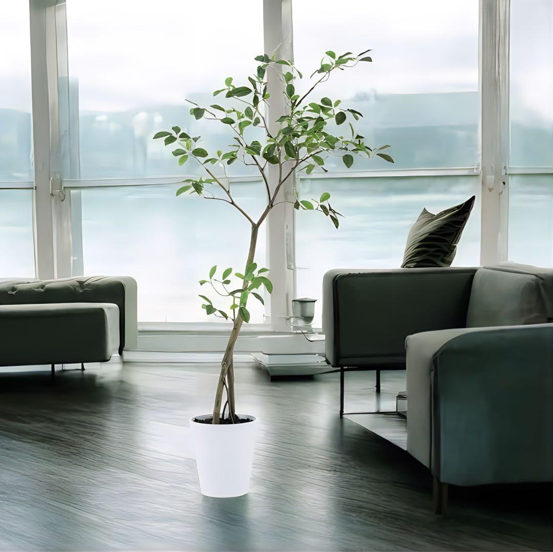 光触媒　人工観葉植物　ウォールグリーン　フェイクグリーン　ガジュマル150FST