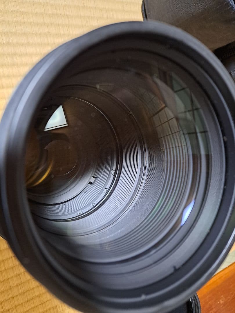 り*☆様 Nikon AF-S NIKKOR 300mm f/2.8G ED V