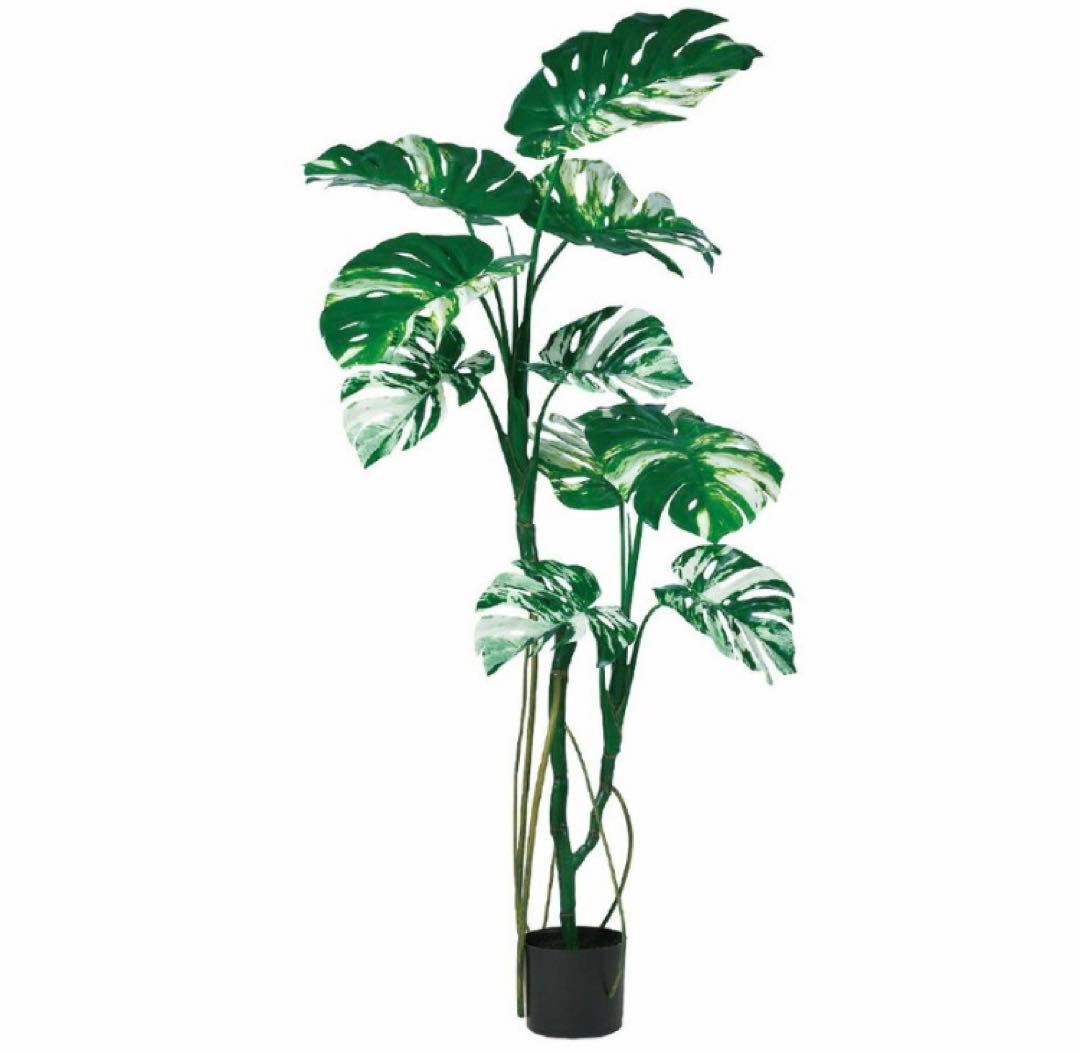 光触媒　人工観葉植物　ウォールグリーン　フェイクグリーン　モンステラポット145