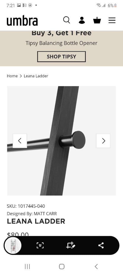 【特価】umbra タオルハンガ－ラダ－(黒)