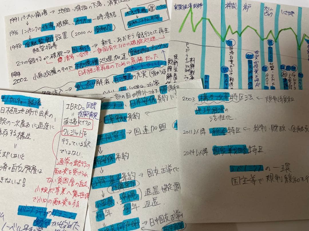 共テ対策 公共政経、情報、生物基礎 手書き暗記カード360枚