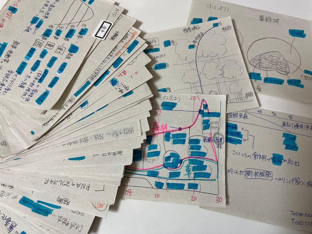 共テ対策 公共政経、情報、生物基礎 手書き暗記カード360枚