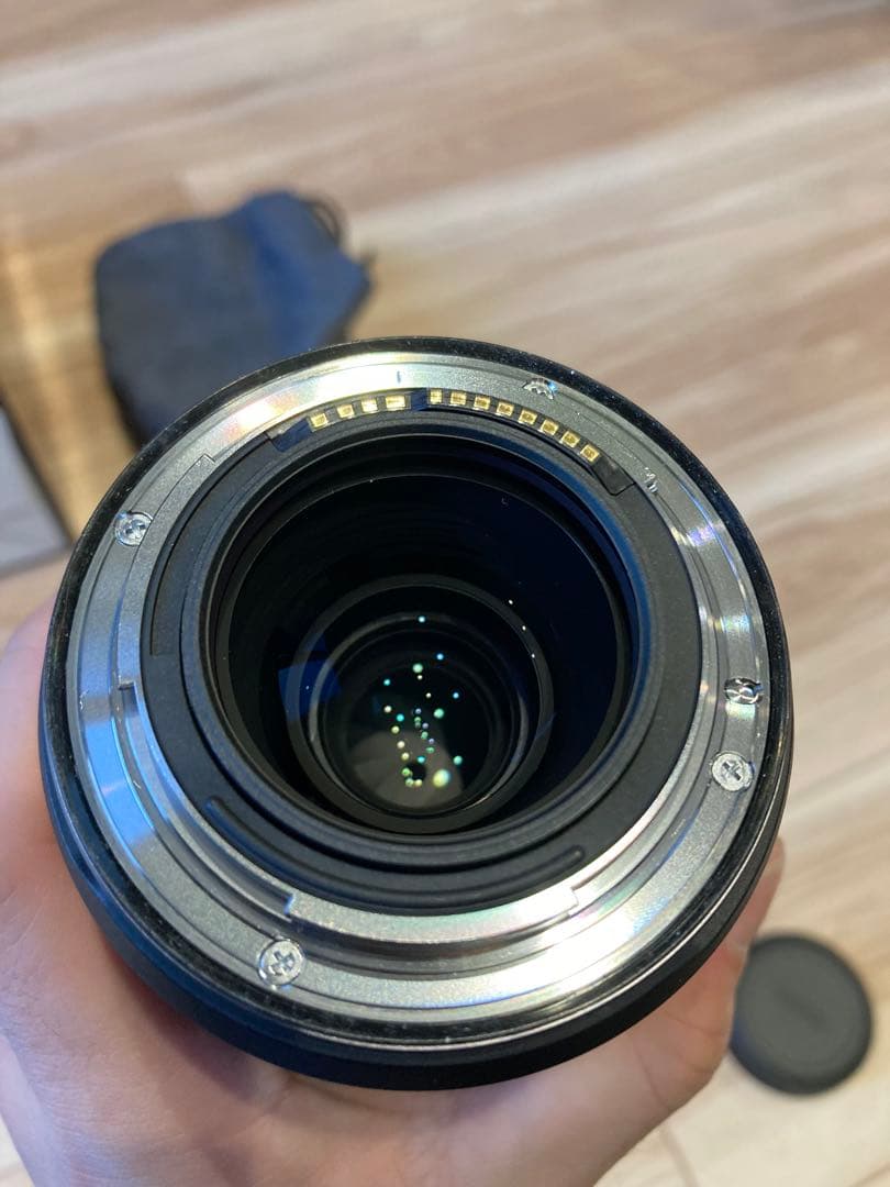 Canon RF 100mm F2.8 L Macro IS USM レンズ