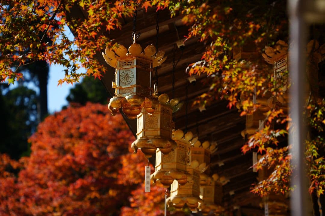 TAMRON 28-200mm F/2.8-5.6 Di III RXD ソニー