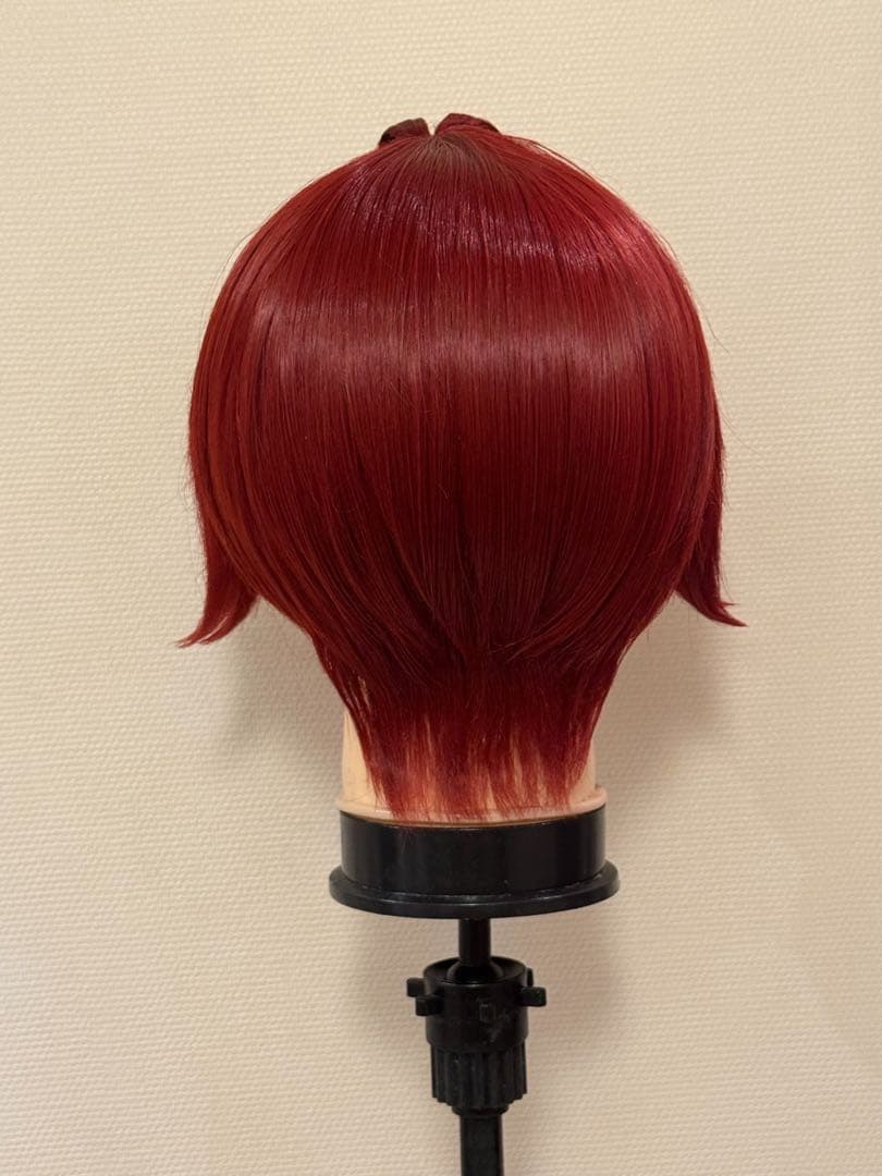 ツイステ リドル コスプレ ウィッグ セット済み