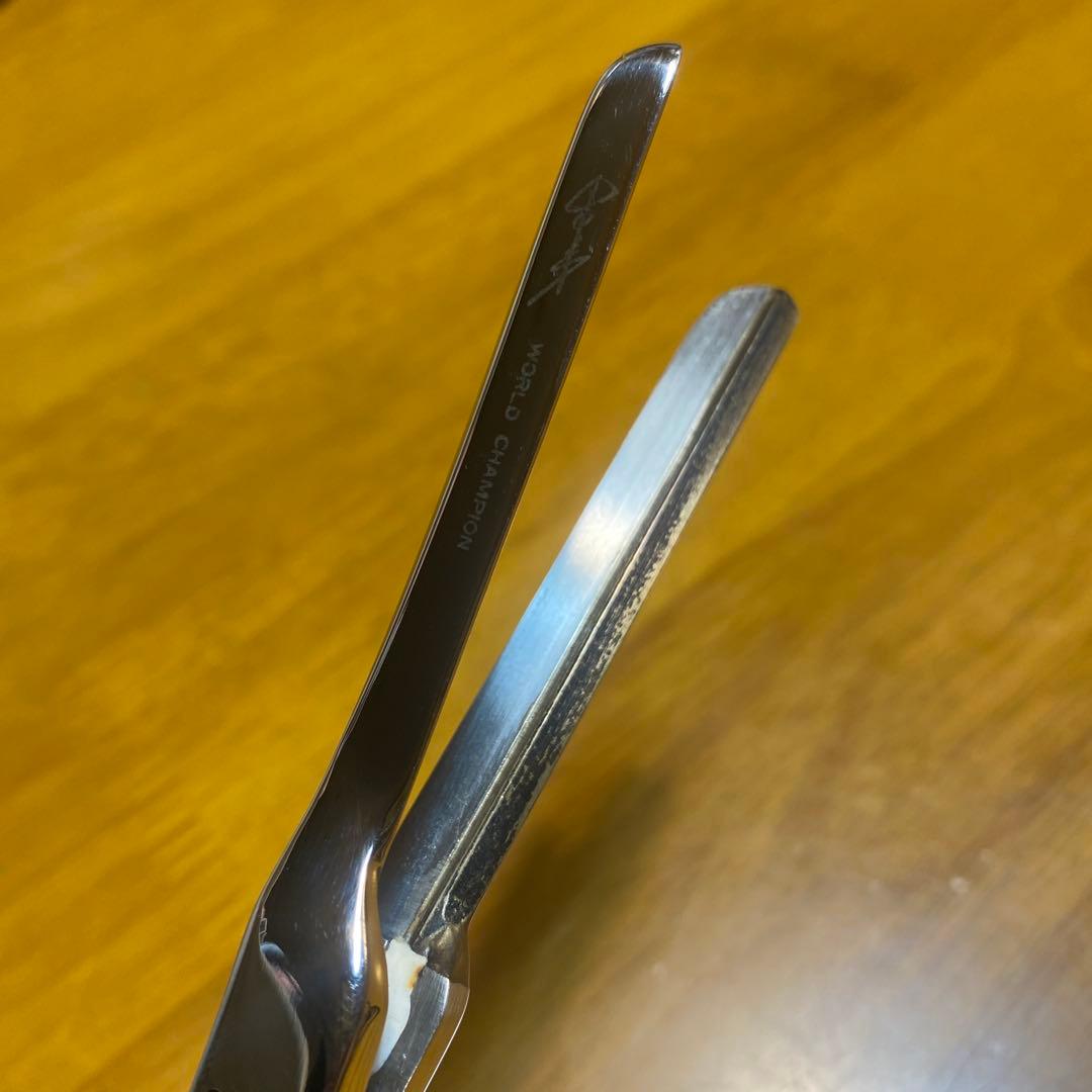 美品　理容　アイパー　アイロン アルティアイロンハード　田中トシオ