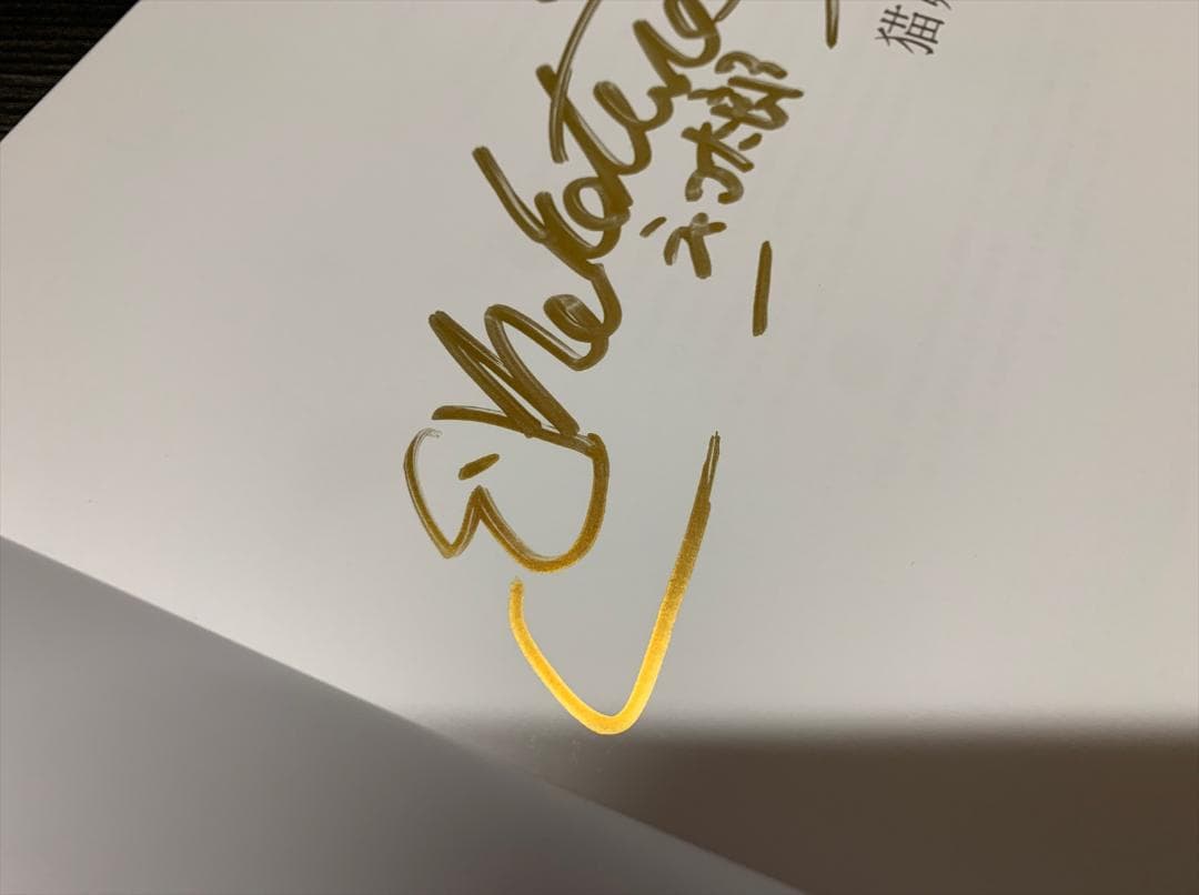 猫娘症候群 画集 / ネコ太郎