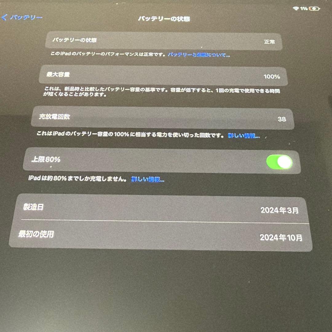 Apple iPad Pro M4 シルバー 本体 取扱説明書付き