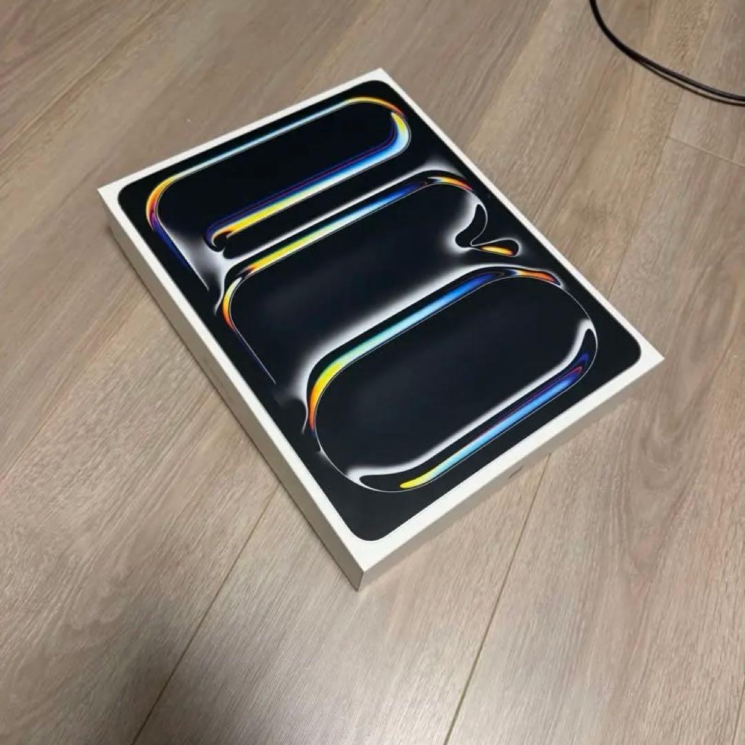 Apple iPad Pro M4 シルバー 本体 取扱説明書付き