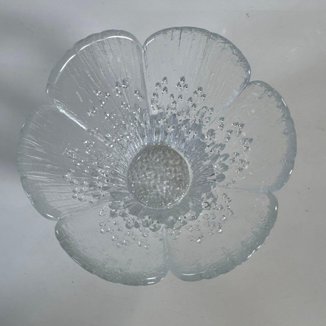 Lasisepat Lasisepatラシセパットクロッカス　フィンランド