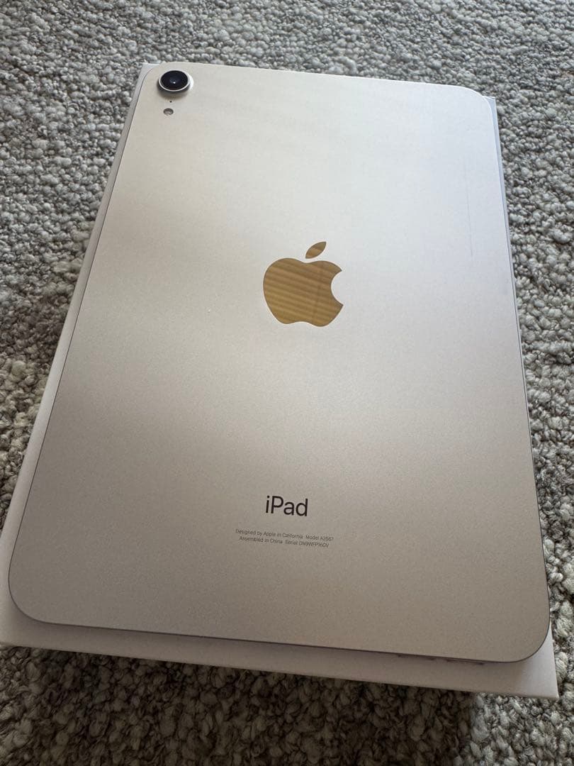 iPad本体 Apple iPad Mini 6 256GB Wi-Fi