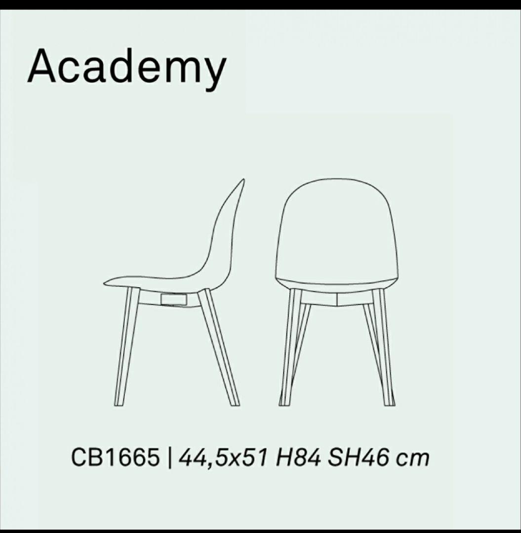 Calligaris カリガリス Academy チェア 2脚セット※二口発送