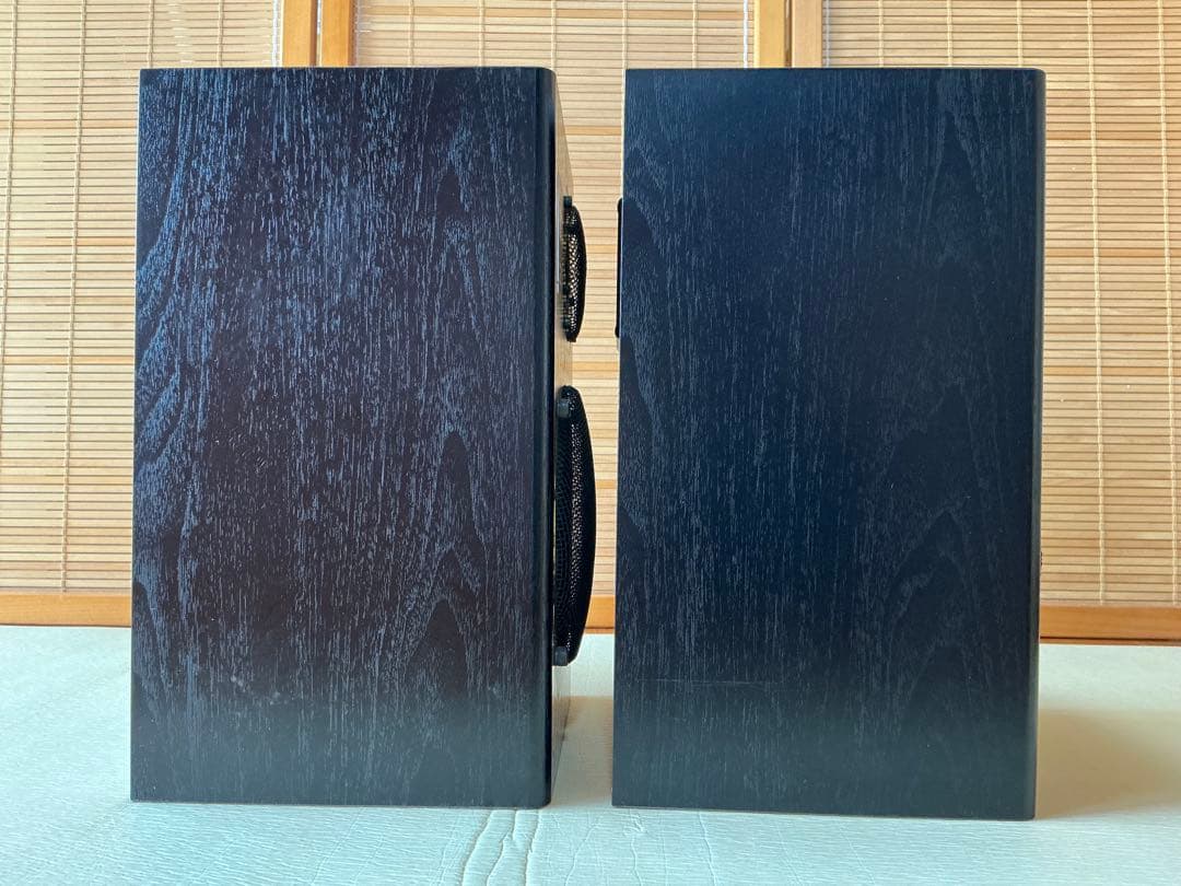 Coral 2ウェイスピーカー EX-101 ペア