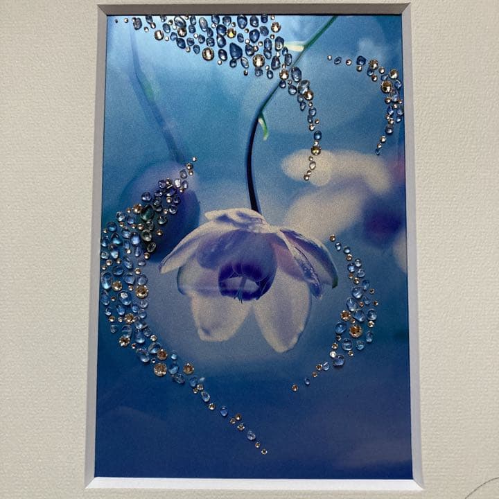 作者不明 写真 アート フラワー ブルー 額付