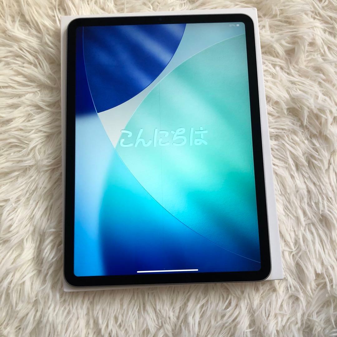 【完動品】iPad Pro 11 第4世代 256GB 【すぐ発送】
