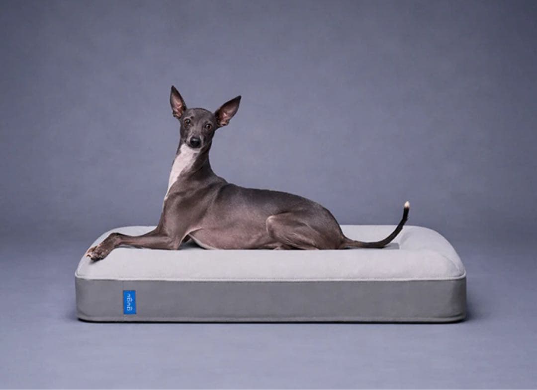 gugu ドギー 犬用ベッド Sサイズ グレー　クッションベッド　美品