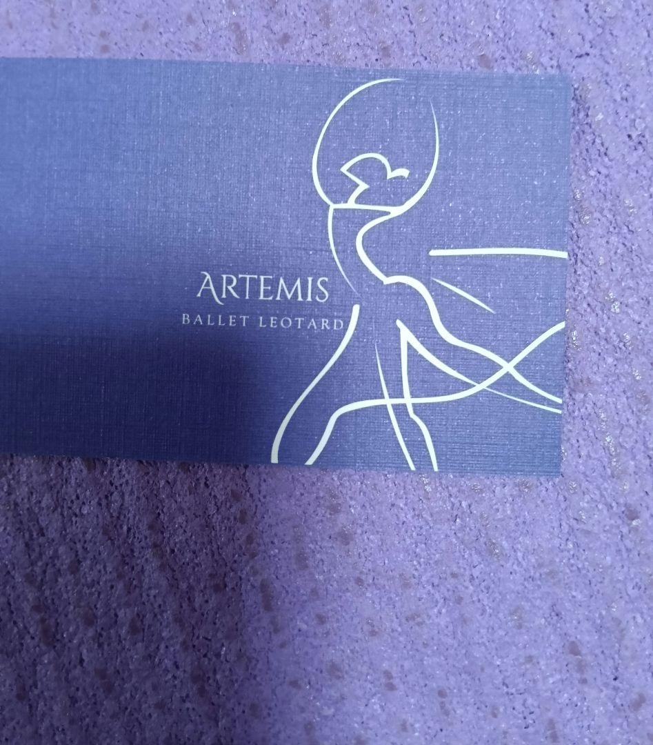 Artemis アルテミス ボートネック グラデーションレオタード Lサイズ