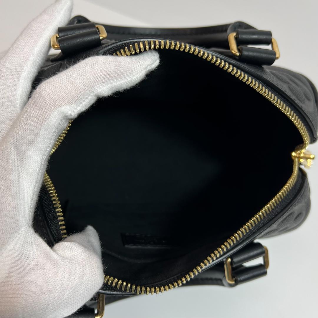 ルイヴィトン M58953 モノグラム アンプラント スピーディ MBZ176