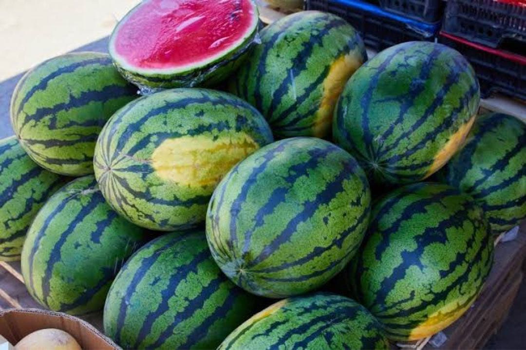 雑貨☆マトリョーシカ『Little Gardeners』5Pエレナ最新