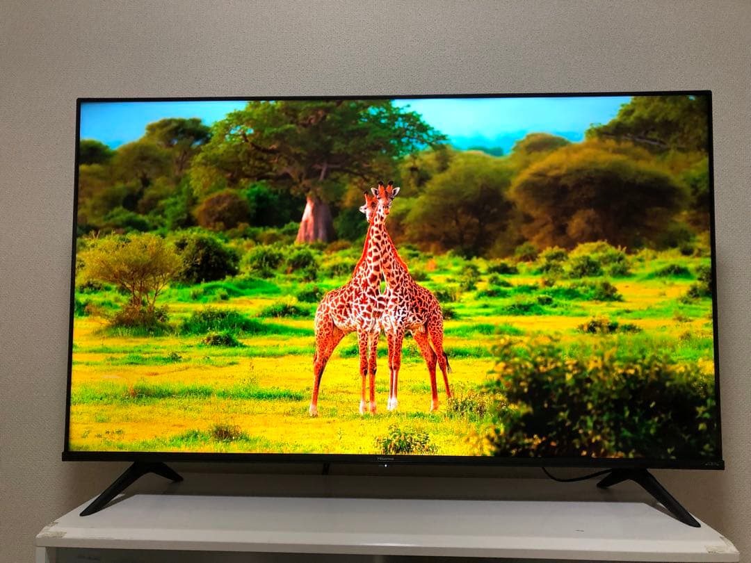 ハイセンス 50V型 液晶テレビ 4Kチューナー内蔵 50E6G 2023年製