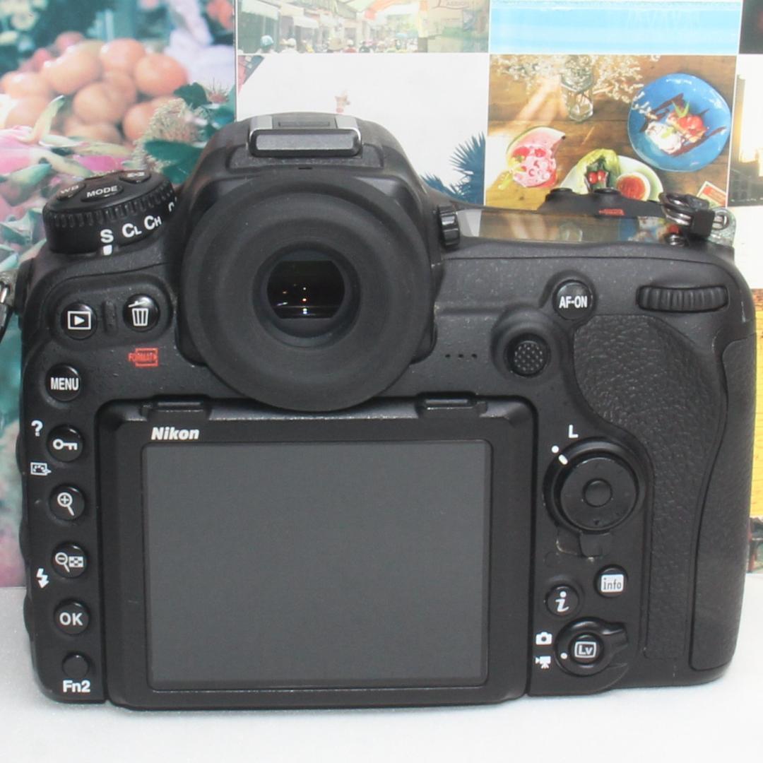 ❤️予備バッテリー付き❤️Nikon D500 超望遠 ダブルズームセット❤️