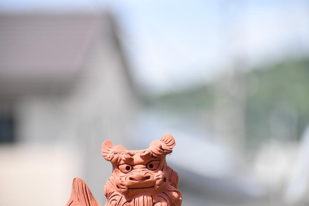 【作例有】ニコンAF-P DX 70-300mm f4.5-6.3G VR 美品