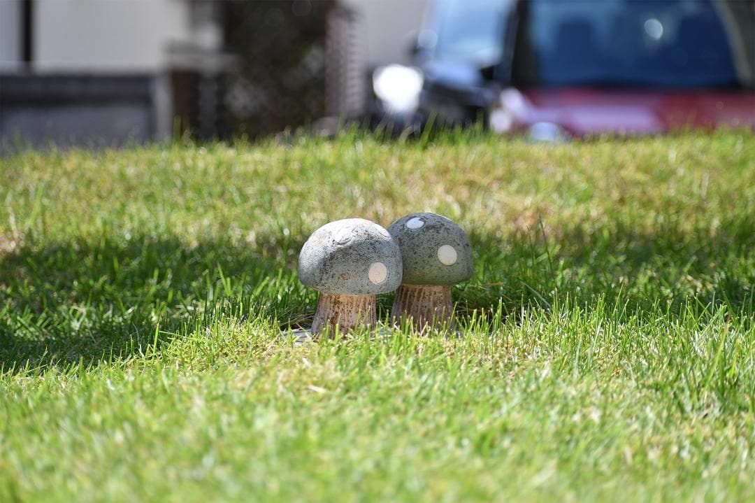 【作例有】ニコンAF-P DX 70-300mm f4.5-6.3G VR 美品